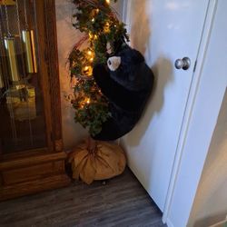 Cub Bear Climbing Pine Tree