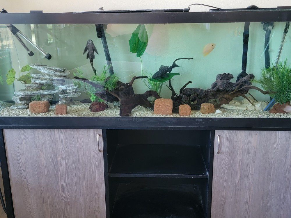Fish Tank 125 Gallon 6 Months Old And Stand