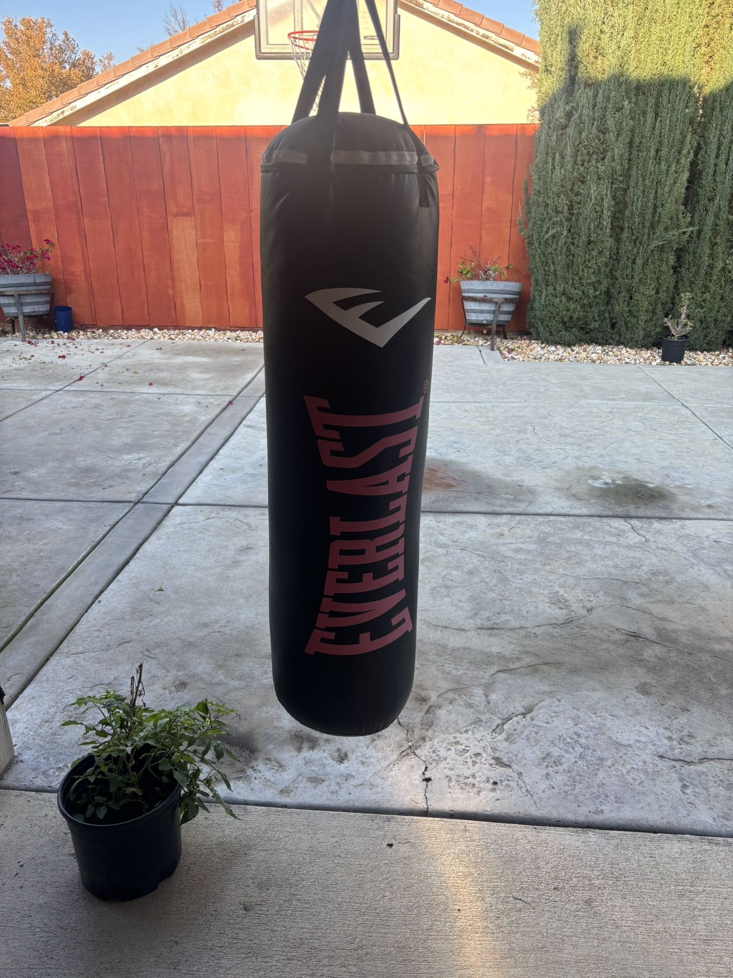 Ever-last Punching Bag