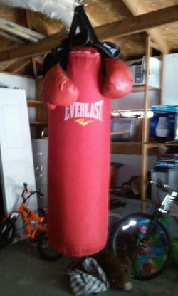 Everlast