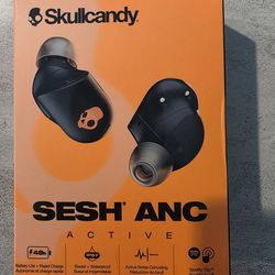 Skullcandy Sesh ANC Active Noise Canceling True Wireless Earbuds NEW in box