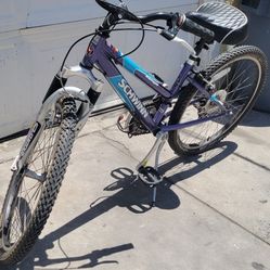Schwinn Mountain Bike $65