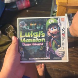 Luigi Mansion Dark Moon