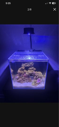Coralland 8 Gallon All In One Saltwater Glass Fish Tank Aquarium with Coral Reef Light
