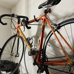 Trek Road Bike