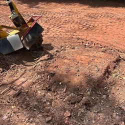 Stump Grinding 