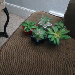 Fake Little Plants 