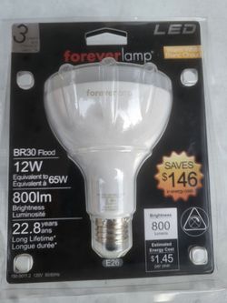 LED forever lamp