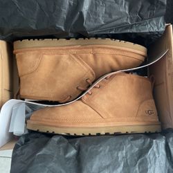Men’s Uggs 