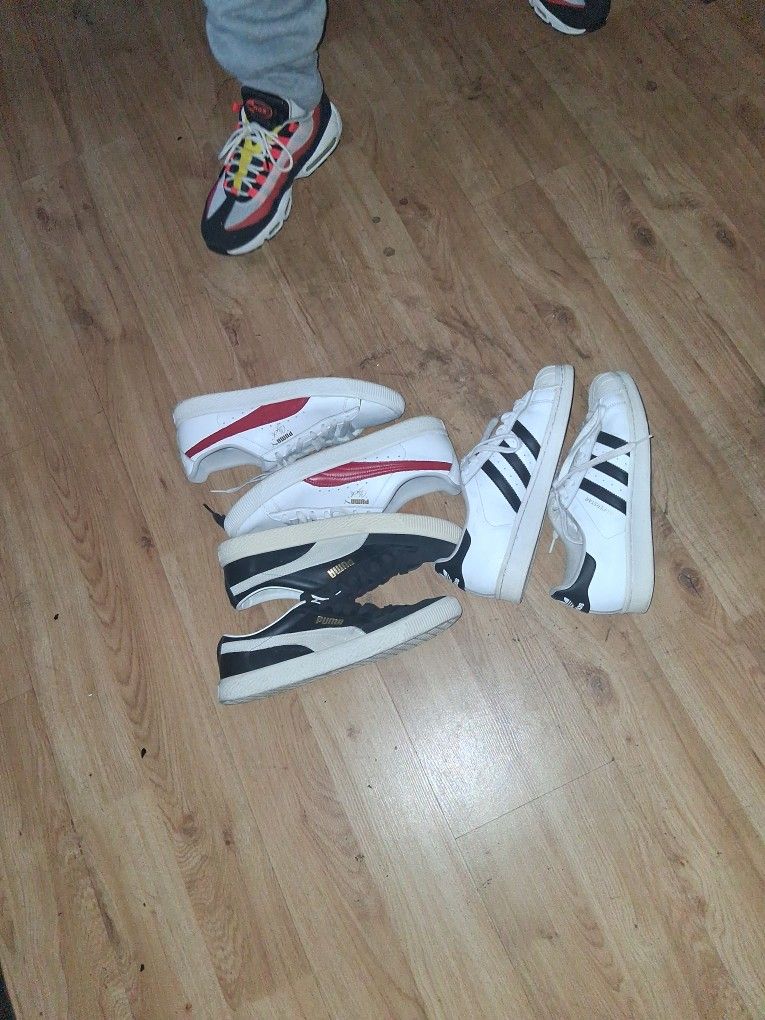 Pumas