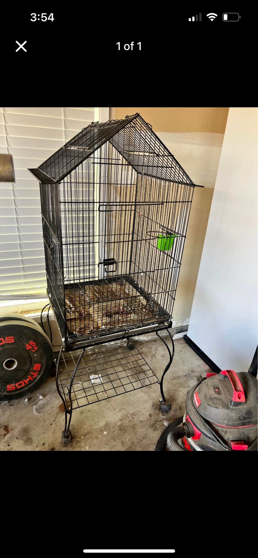 Bird Cage $65