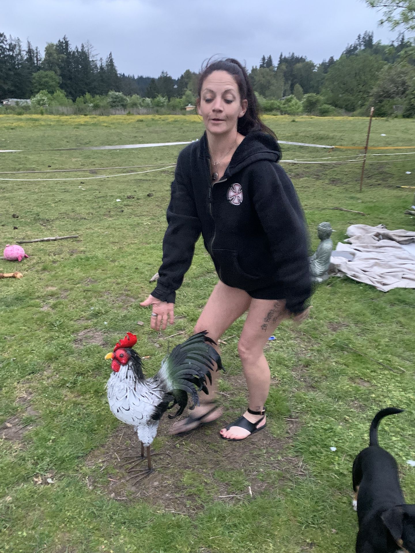 Yard Rooster