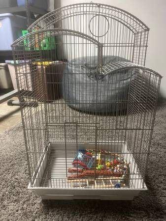 Bird Cage