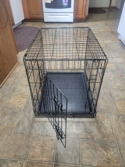 Dog Cage