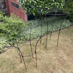 Wrought Iron Garden Plant Frames