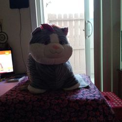 Free Stuffed Animal 