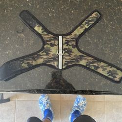 XS Dog Harness 