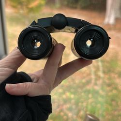 Source Binoculars