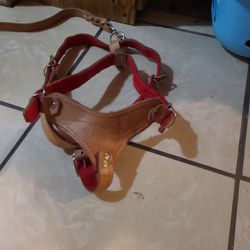 100% Cow Raw Hide Leather Harness/Dog Walker With Leash 