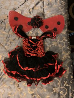 Lady Bug Costume 