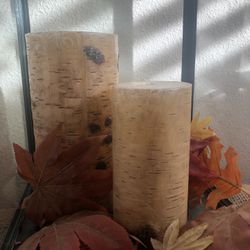 Pottery Barn Birch Unscented Candles