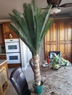 Indoor artificial Palm tree