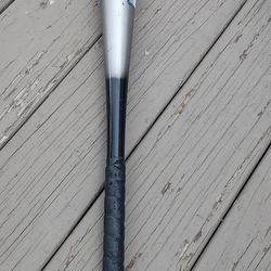 Easton Baseball Bat 32", 29 oz
