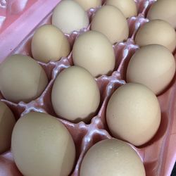 Fresh Brown Eggs