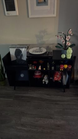 Vinyl record storage cabinet