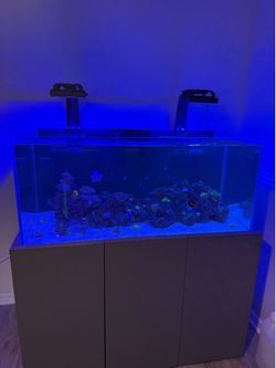 Nyos G2 440 Pro Line reef Tank With Extras, 4 Foot Tank