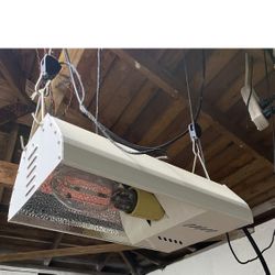 Grow Light 