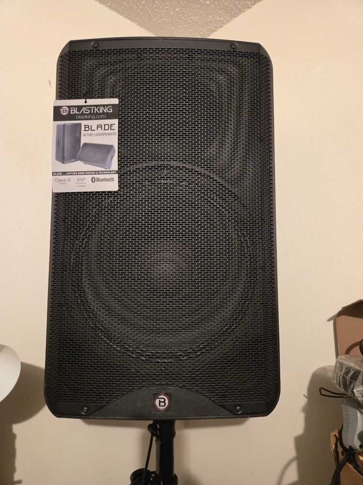 Professional DJ Speaker