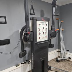 FreeMotion Genesis Dual Cable Cross