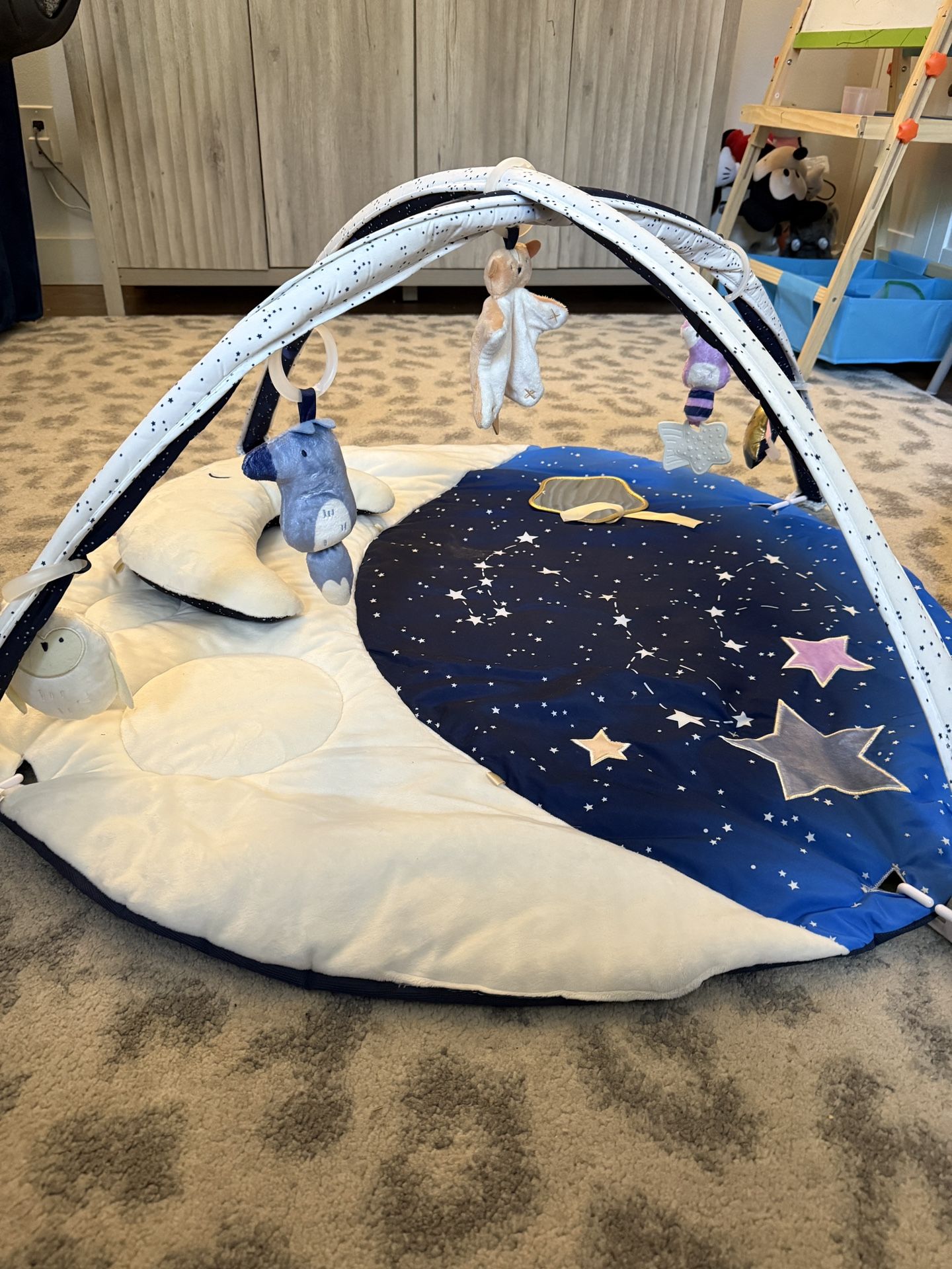 Skip Hop Celestial Dream Activity Gym