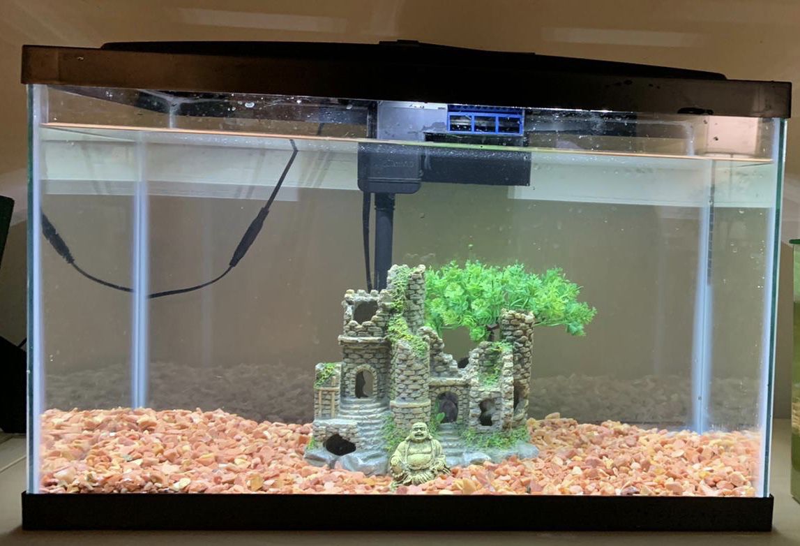 Fish Tank/ Aquarium (10 gallon) with Decor, Aerator, Heater, Fish Food and Accessories