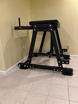 Rogue Z Hyper Reverse Hyper machine