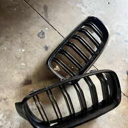 Kidney Grills 