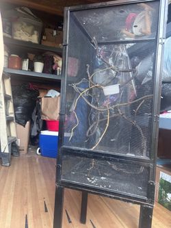 Reptile cage