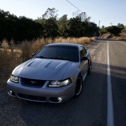 2002 Ford Mustang Gt 