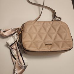 Rose COLOR used Purse