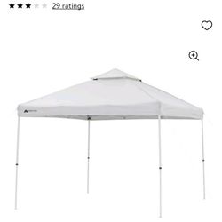 Brand New 12x12 Dual Peak Canopy