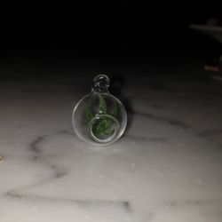 Rare marijuana leaf Glass Pendant