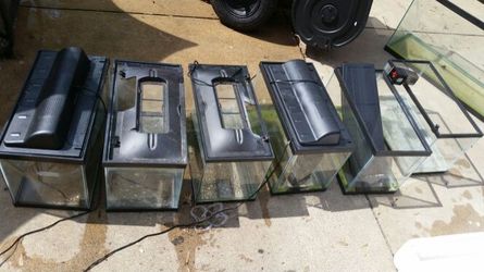 Six 10 gallon tanks