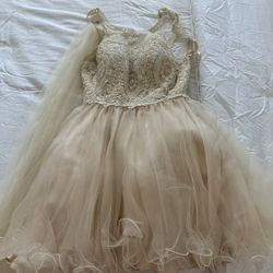 Quinceanera Dama Dress/ Homecoming