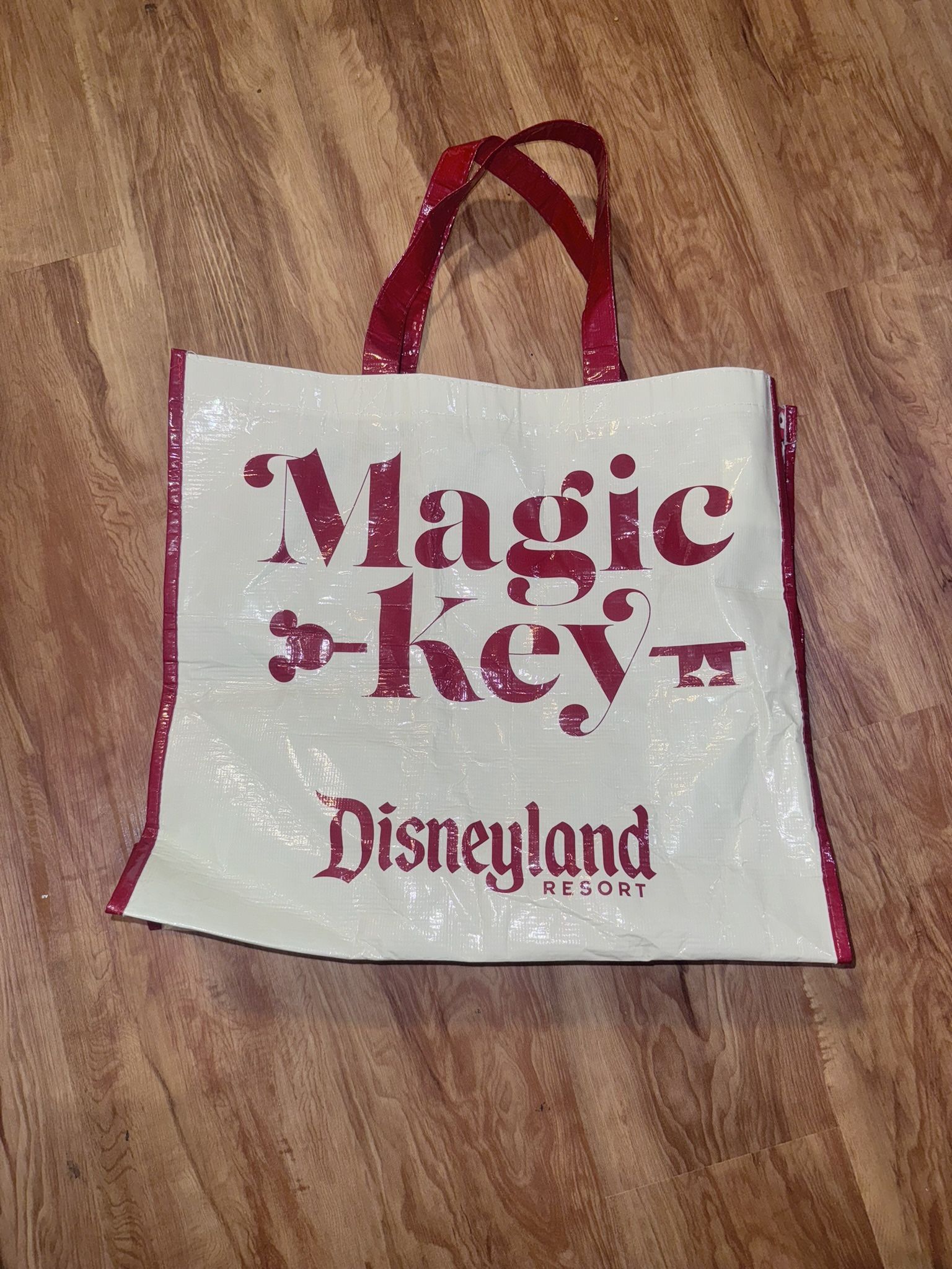 2022 Disneyland Magic Key Reusable Vinyl Tote Bag Christmas Holidays Theme Disne