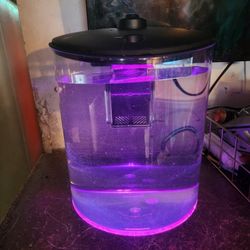 1.5 Gal Aquarium 
