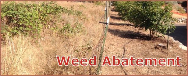 Weeds abatement