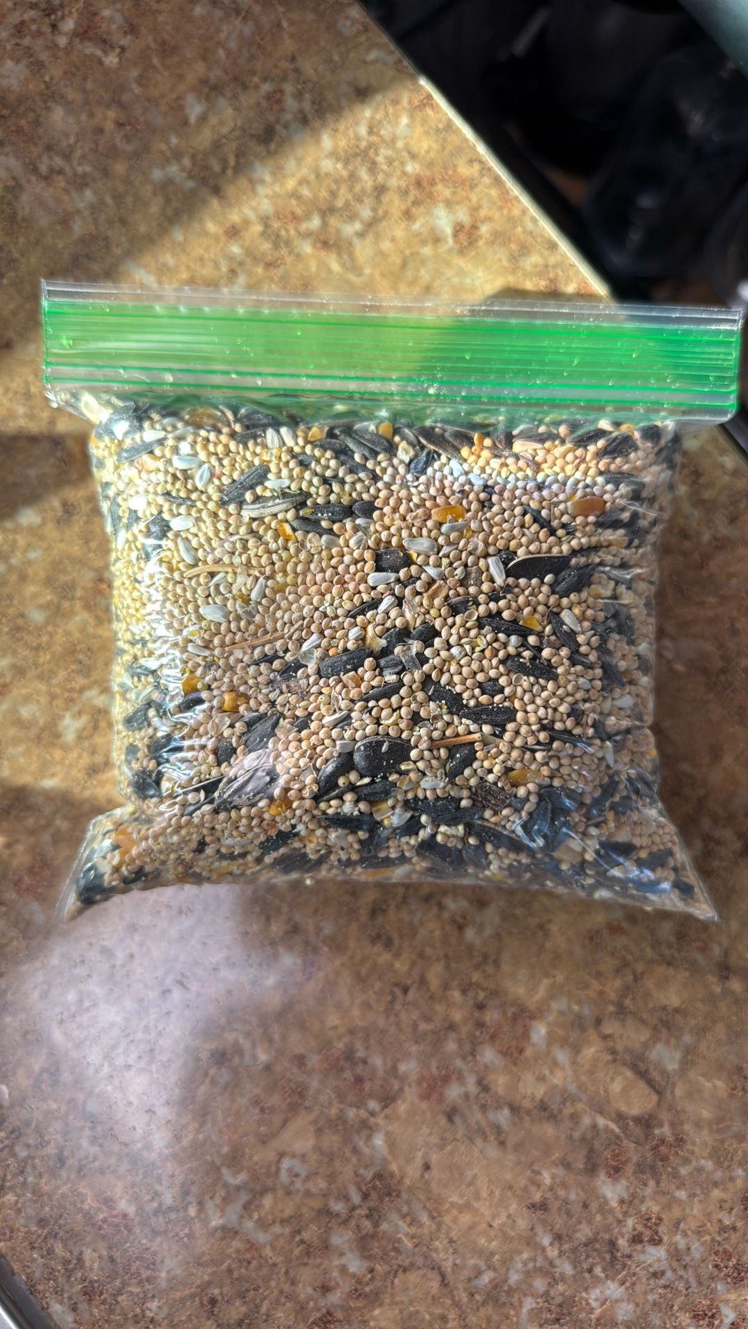 Bird Seeds