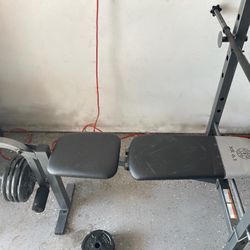 Bench & Weights