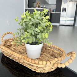 Decorative Basket With Artificial Plant 🪴 